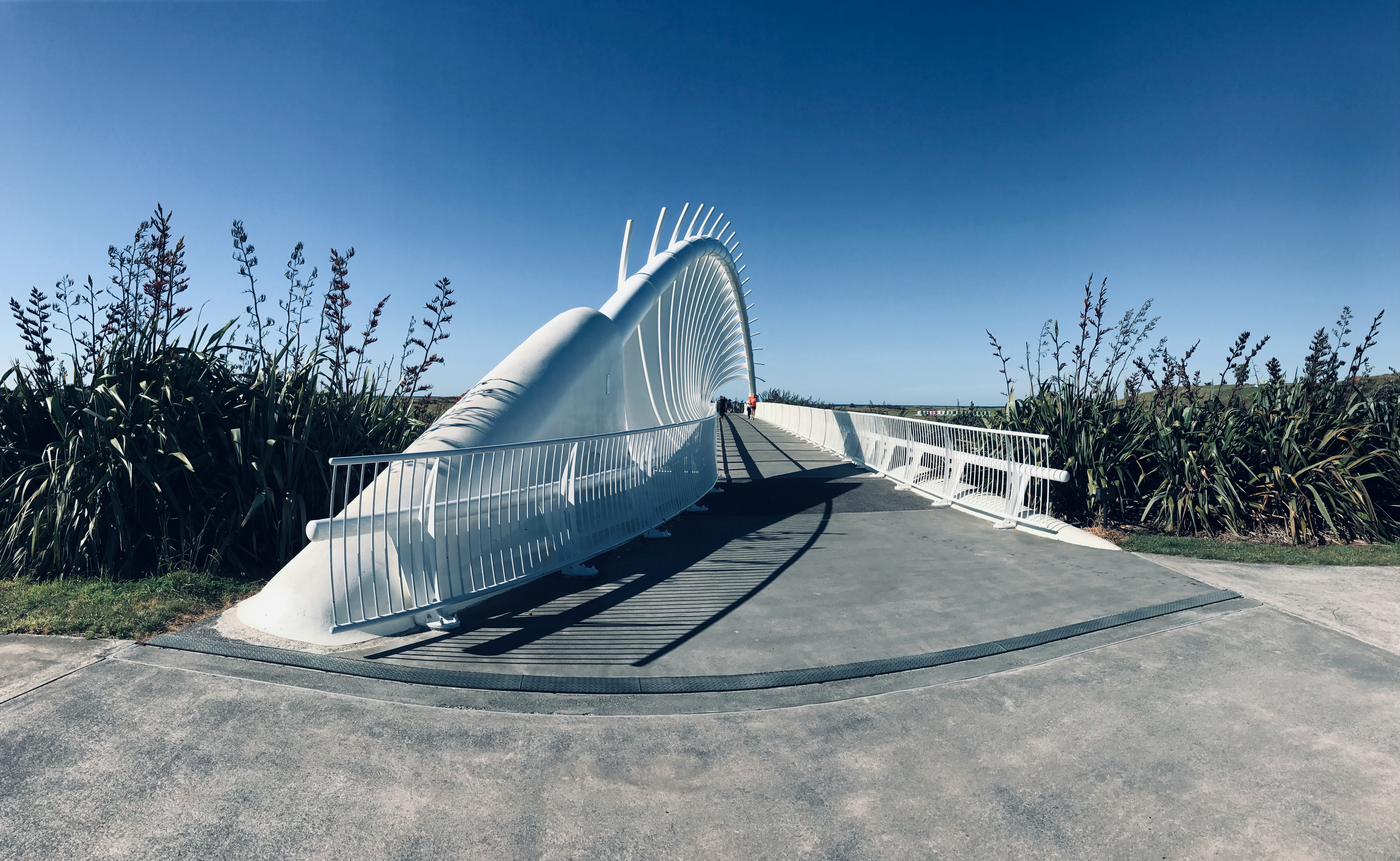 New Plymouth