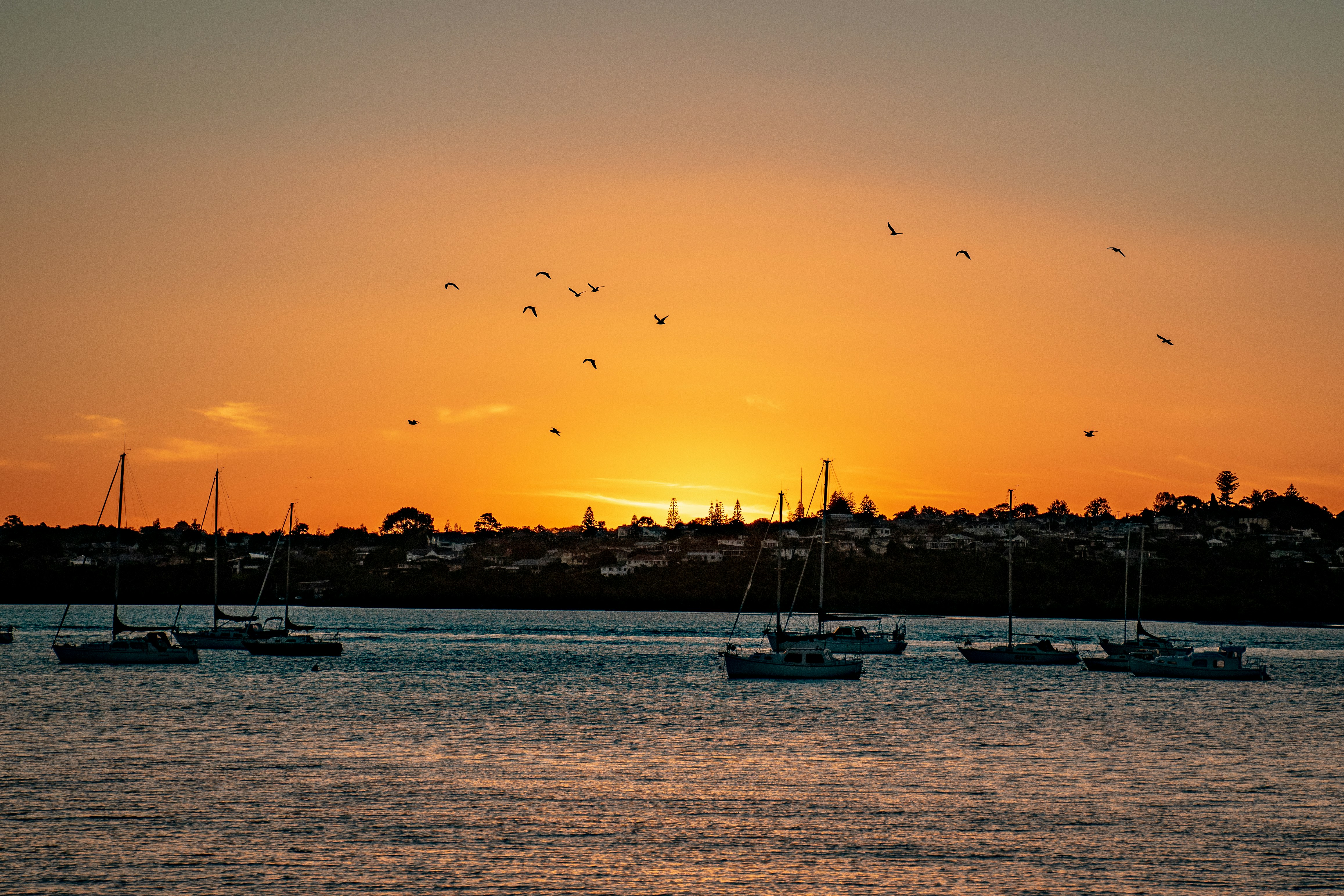 A New Zealand harbour at sunset with moored boats — finding higher-yield suburbs