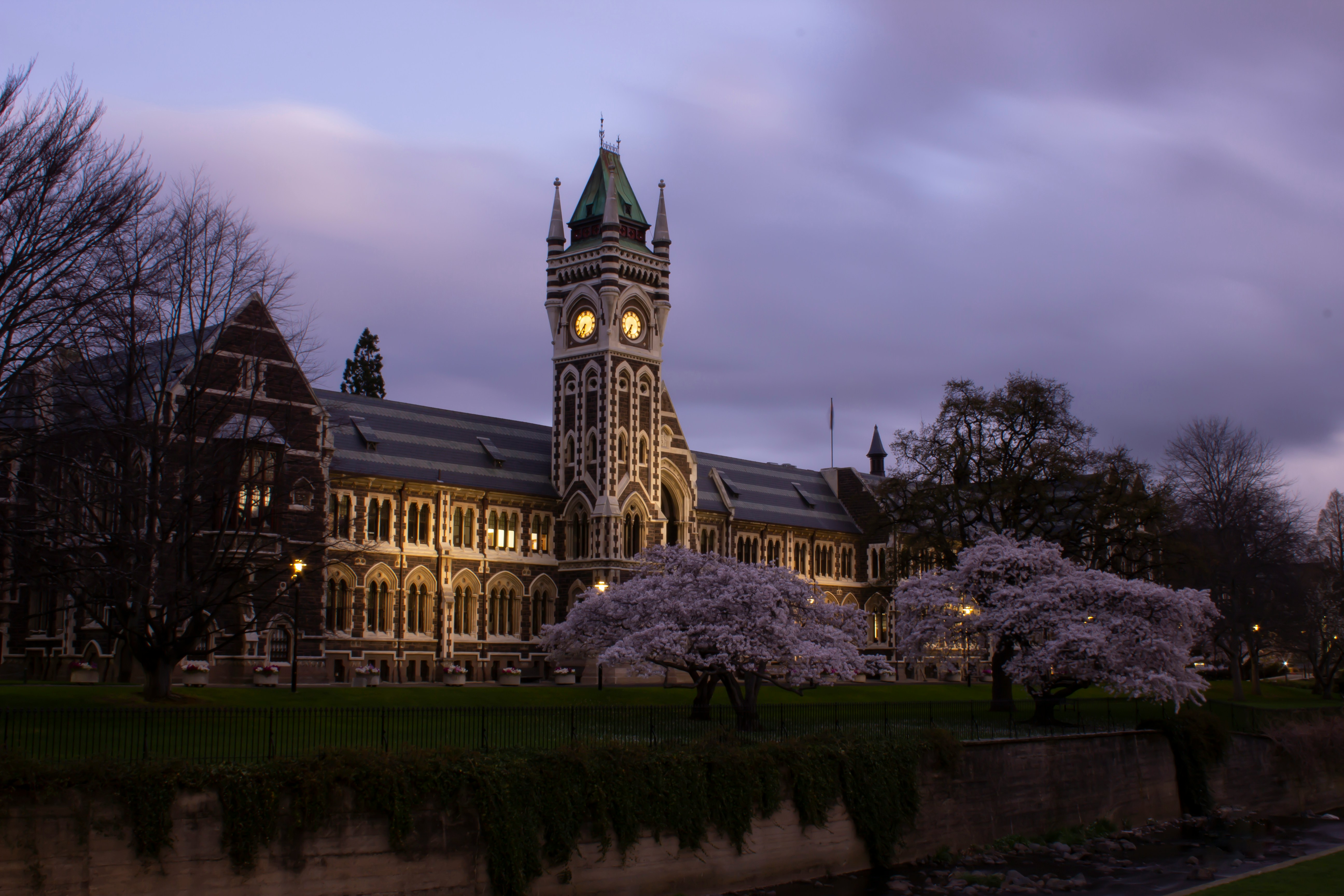 Dunedin