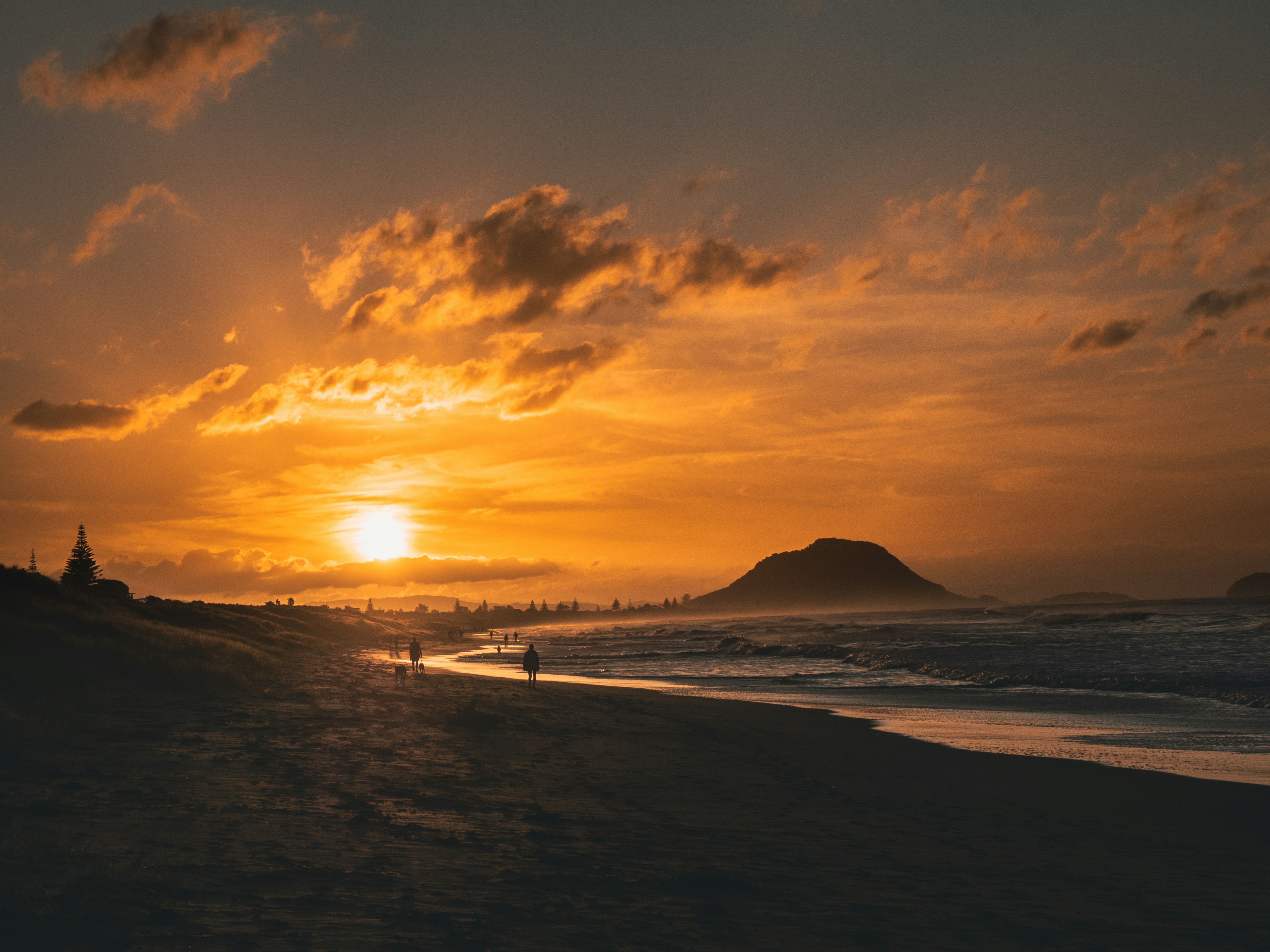 Tauranga